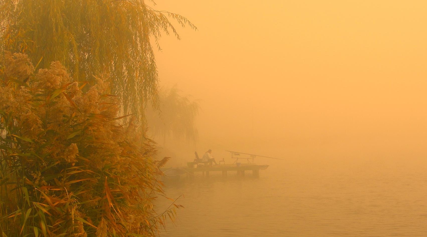 Moara Vlasiei 2 9 - 9 nov. - dsc02925.JPG